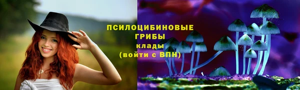амф Алексин