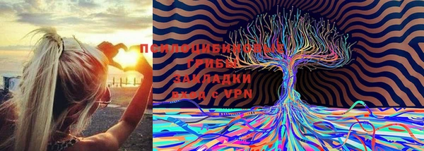 а пвп мука Алексеевка